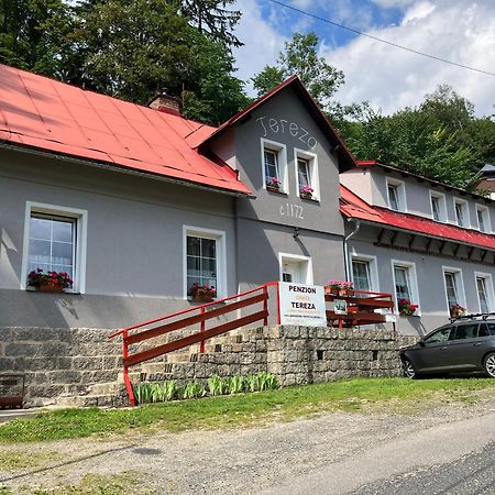 Chata Tereza Janov nad Nisou Zewnętrze zdjęcie